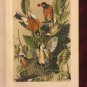 The quadrupeds Birds of AMERICA Volume 3 John James Audubon Made in US 1856