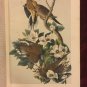 The quadrupeds Birds of AMERICA Volume 5 John James Audubon Made in US 1856