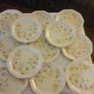 Mikasa Venezia Avante FE901, Made in Japan,12 - 10 7/8 in Dinner Plates