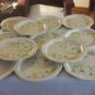 Mikasa Venezia Avante FE901, Made in Japan,12 - 10 7/8 in Dinner Plates