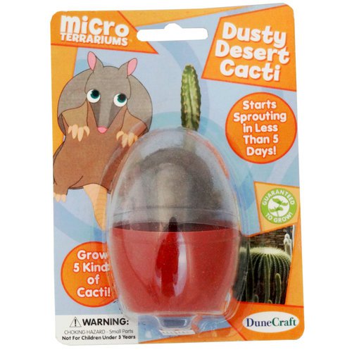 Dunecraft Dusty Desert Cacti Science Kit