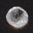 Tree of life moss agate