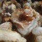 Fire Agate Gemstone Raw Bulk Pound Deal