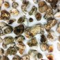 ARIZONA FIRE AGATE 5lb BULK DEAL link