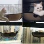 Cat Hammock Window Bed Hanging Cage Soft Cushion Relax Seat Pet Resting Sunbed