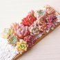 300Pcs/Bag Mix Lithops Seeds Rare Succulent Flower Pseudotruncatella Bonsai