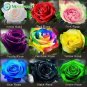 200Pcs Mixed Rose Flower Seeds Plant Garden Spring Decoration Colorful Rainbow