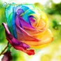 200Pcs Mixed Rose Flower Seeds Plant Garden Spring Decoration Colorful Rainbow