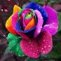 200Pcs Mixed Rose Flower Seeds Plant Garden Spring Decoration Colorful Rainbow