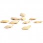 100pcs/bag Seeds Vegetables Vietnam Melon Bonsai Plants Woman Breast Milk Rare