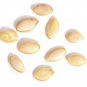 100pcs/bag Seeds Vegetables Vietnam Melon Bonsai Plants Woman Breast Milk Rare