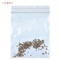 100pcs/bag Blue Primrose Flower Seedd Plant Perennial Rare Various Garden Bonsai