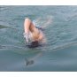 Swimming Webbed Hand Gloves Fingers Fins Paddle Silicone Palm Flippers Frog Swim