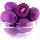 Kiwi Seeds Purple Tree Actinidia Bonsai Fruit Sweet Plant Garden Home Decor Rare