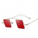 Steampunk Square Sunglasses Men Women Vintage Retro Shades Lens Fashion Eyewear