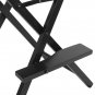 Makeup Director Artist Chair Black Foldable Aluminium Zinc Plated Light Pro New