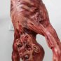 Scary Halloween Decoration Hanging Zombie Prop Bloody Vampire Haunted House New