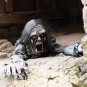 Halloween Party Decorations Horror Layout Crawling Ghosts Voice Control LED Eyes