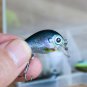 5pc 1.8g Fishing Lure Kit Minnow Floating Crankbait Jerk Bait With Tackle Box
