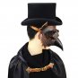 Reenactment Plague Doctor Steampunk Bird Leather Mask Halloween Gothic Cosplay
