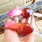 Fishing Lure Crankbait Minnow Wobbler 4pcs/Set Bass Tackle Funny Penis Hooks