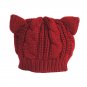 Beanie Hats For Women Winter Warm Ski Cap Girls Knit Cat Ears Style Fashion New
