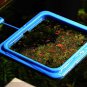 Aquarium Fish Feeding Ring Tank Food Suction Cup Floating Square Feeder Station