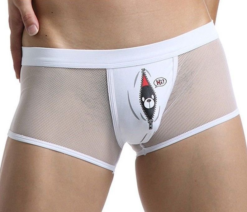 Men Briefs Underwear Mesh Pants Sexy Underpants Male Boxers Shorts Valentines