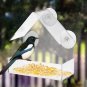 Bird Feeder House Window Garden Outdoor Clear Transparent Acrylic Suction Cup