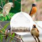 Bird Feeder House Window Garden Outdoor Clear Transparent Acrylic Suction Cup