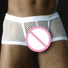 Men Mesh Pants Underwear Transparent Valentines Day Shorts Erotic Underpants
