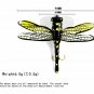 Fishing Lure Dragonfly Dry Flies Insect Trout Popper Artificial Bait Wobbler