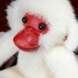 Plush Toy Monkey Real Mink Fur Key Chain Ring Women Bag Charms Pom Keychain