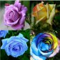 Rose Flower Seeds Plant Garden Spring Decoration Colorful Rainbow 200Pcs Mixed