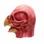 Doctor Schnabel Mask Cosplay Plague Horror Punk Halloween Stage Costume Party