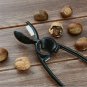 Nut Shell Cracker Walnut Pliers Hard Tool Chestnut Opener Clip Scissors Kitchen