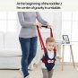 Baby Walker Assistant Belt Harness Safety Toddler Walking Infant Kid Safe 6-24M