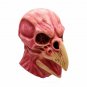 Scary Face Mask Zombie Doctor Schnabel Cosplay Plague Horror Punk Costume Party