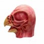 Scary Face Mask Zombie Doctor Schnabel Cosplay Plague Horror Punk Costume Party
