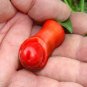 Vegetable Seeds Plant Pepper Hot Chili Garden Penis Shape Form Bonsai 100pcs Bag