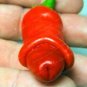 Vegetable Seeds Plant Pepper Hot Chili Garden Penis Shape Form Bonsai 100pcs Bag