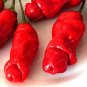 Vegetable Seeds Plant Pepper Hot Chili Garden Penis Shape Form Bonsai 100pcs Bag