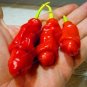 Vegetable Seeds Plant Pepper Hot Chili Garden Penis Shape Form Bonsai 100pcs Bag