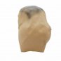 Adults Face Mask Funny Butt Scary Full Head Latex Party Costume Cosplay New Fun