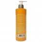 Aqua Spa Energize Body Cleanser, Citrus + Ginger, 12 fl oz (355 ml)