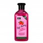 XHC Xpel Hair Care Goji Berry Shine Shampoo, 400 ml / 13.52 FL OZ