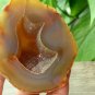 Natural Agate Geode Crystal Druzy Quartz Stone Specimens DecorATION A826185