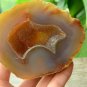 Natural Agate Geode Crystal Druzy Quartz Stone Specimens DecorATION A826185