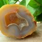 Natural Agate Geode Crystal Druzy Quartz Stone Specimens DecorATION A826185