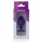 Intense Shelki M Plug Anal Purple